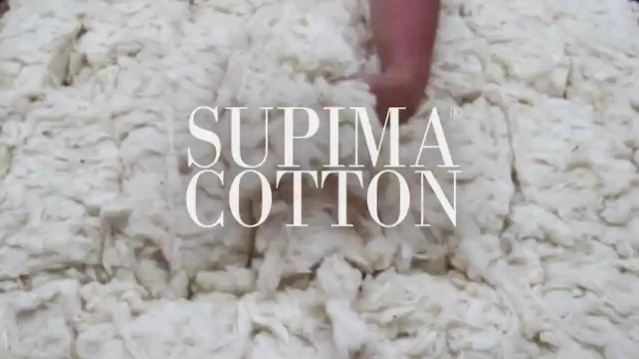 supima cotton 1676429968.jpg - Does Supima Cotton Shrink? Care Facts